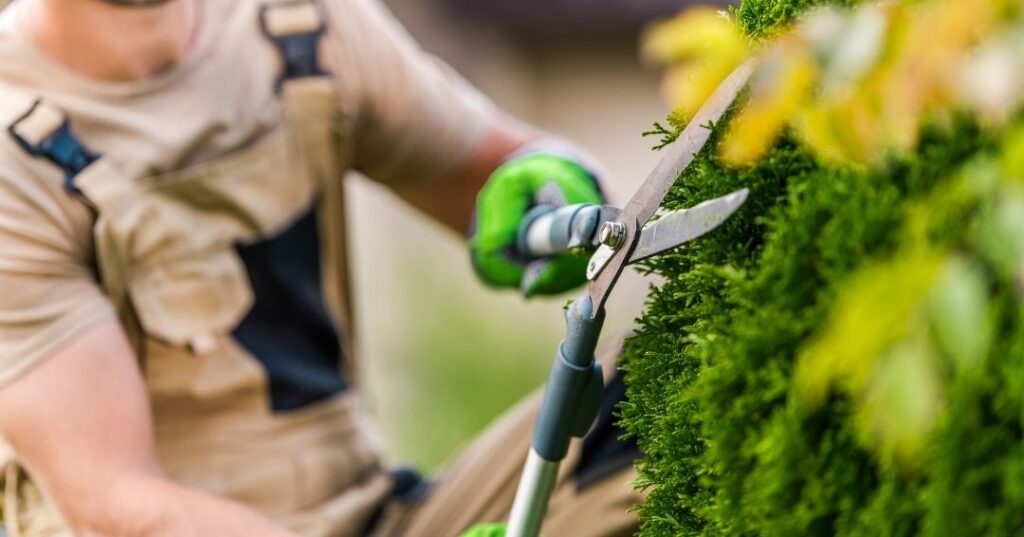 manutenção de áreas verdes em Sorocaba