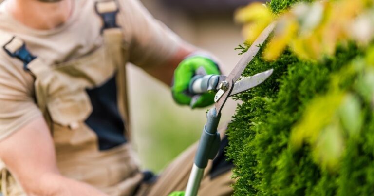 manutenção de áreas verdes em Sorocaba